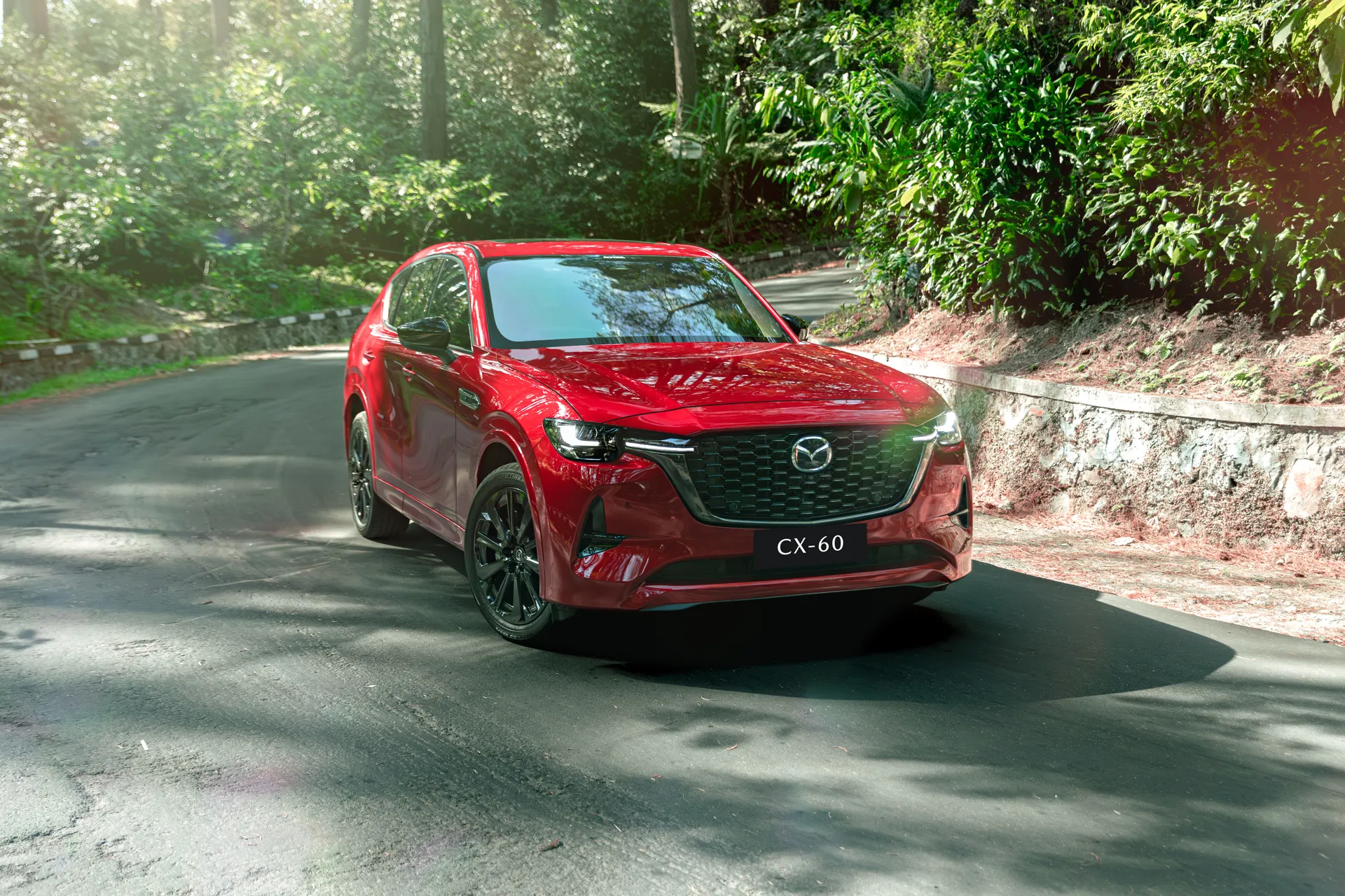 Cat Premium Mazda Soul Red Crystal